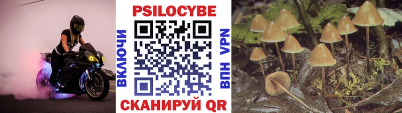 Галлюциногенные грибы Magic Shrooms  Купить закладки  Шацк 